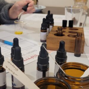 סדנה - דרך הבושם